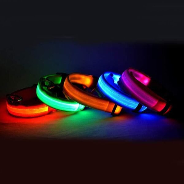 LED Pet Luminous