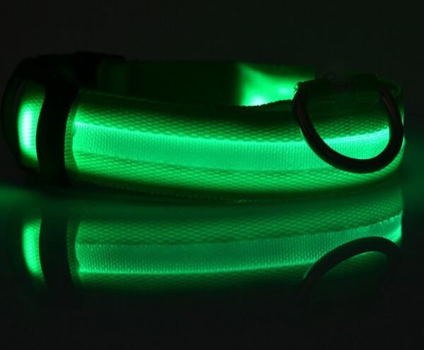 LED Pet Luminous - Image 7